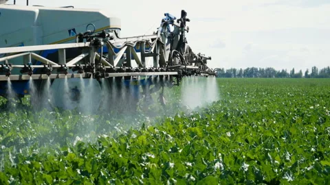 Tractor spraying the plants of sugar beet from pests, diseases . Slow motion. HD 库存影片 85483989
