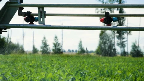 Tractor spraying the plants of sugar beet from pests, diseases . Slow motion. HD 库存影片 85484215