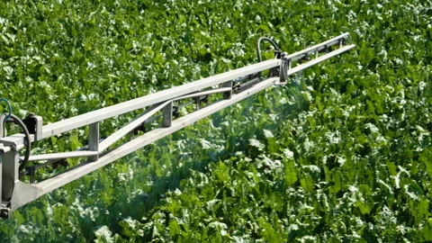 Tractor spraying the plants of sugar beet from pests, diseases . Slow motion. HD Video stock 85484236