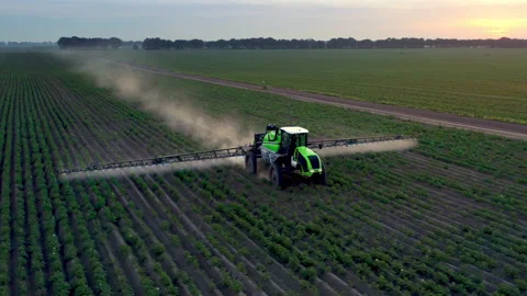 Tractor spraying potato field with sprayers using herbicides and pesticide. Farm Stock-Footage 196727871