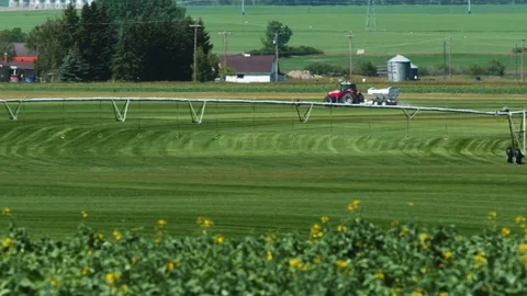 Tractor spraying at a sod farm Stock Footage 79289116