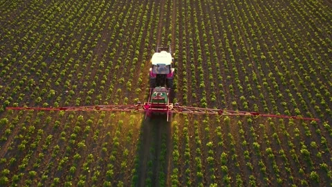 Tractor spraying soil and young crop in springtime in field aerial view Stock Footage 277798878