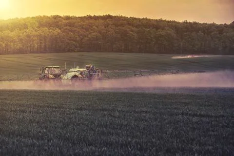 Tractor spraying soybean field at spring Foto stock