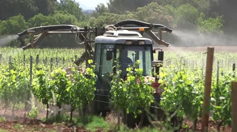 TRACTOR SPRAYING VINES, VINEYARD, VAR, SOUTH OF FRANCE Stock Footage 45720534