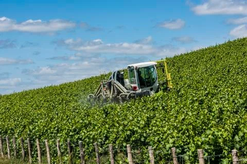Tractor Spraying Vineyard Stock Photos