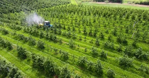 The tractor sprays apple orchards Stock Footage 132622816