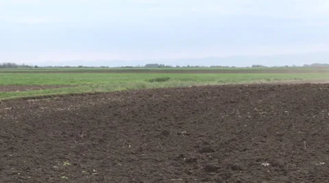 Tractor spreading fertilizer in springtime under a blue sky Video stock 37055904