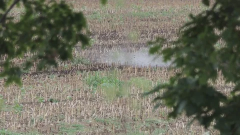 Tractor spreads manure in the field Stock-Footage 118154166