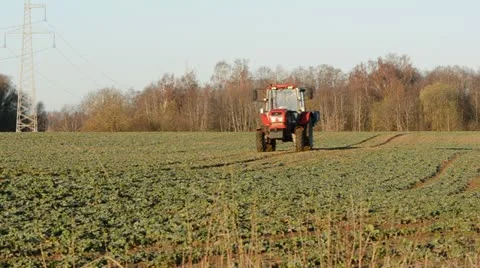 Tractor on the spring rapes field Stock Footage 10896087