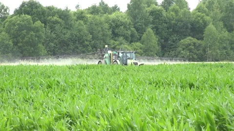 Tractor sprinkler work in big maize field with fertilizer. 4K Stock Footage 60799557