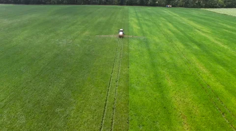 Tractor sprinkles bean field Видео 65593937