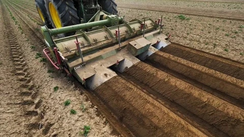 Tractor spuds potatoes, creates combs on potato field, side view, top view Stock Footage 245364080