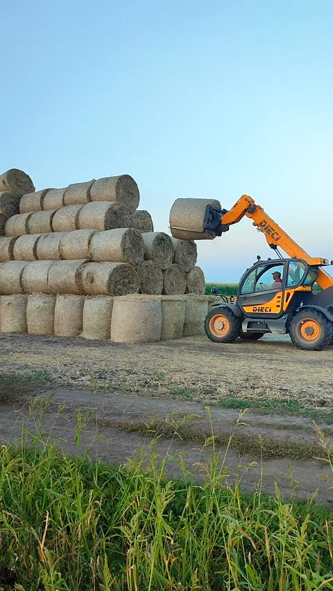Tractor stacking folding round bales straw on plowed field on summer evening. Video stock 307196960