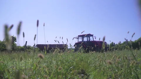 Tractor standing on fruit, green field with trailer, camera shoots through grass Stock Footage 155466524