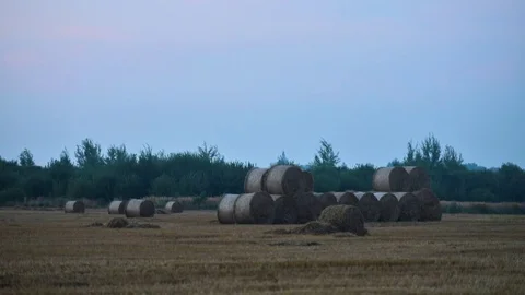 Tractor stores straw bales Stock Footage 82260661