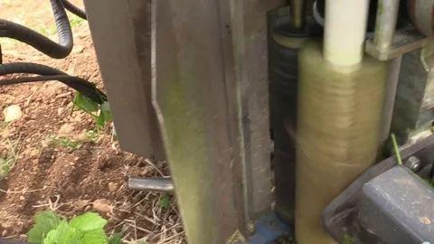 Tractor straddling vineyard to cut leaves Stock Footage 83445412
