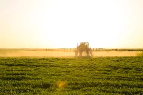 Tractor on the sunset background. Tractor with high wheels is making fertilizer Stock Photos