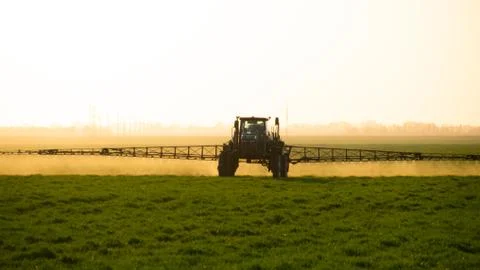 Tractor on the sunset background. Tractor with high wheels is making fertiliz Foto stock