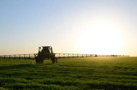 Tractor on the sunset background. Tractor with high wheels is making fertiliz Foto stock