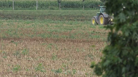 Tractor with tank in action in the field Stock-Footage 116654501