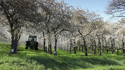 Tractor through trees Stock Footage 78602782