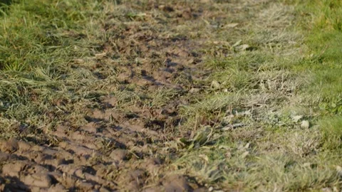 Tractor tire marks on field path 스톡 동영상 221160650