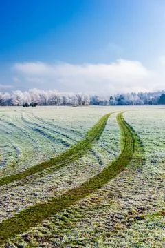 Tractor tire tracks on frost covered green grass on a frosty faull morning in Stock Photos