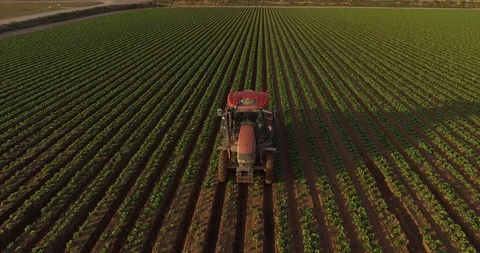Tractor trabajando en un gran campo de lechugas Stock Footage 122501977
