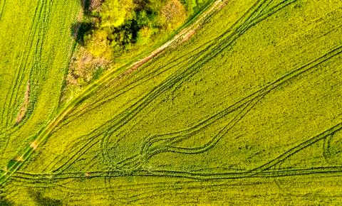 A tractor traces Stock Photos
