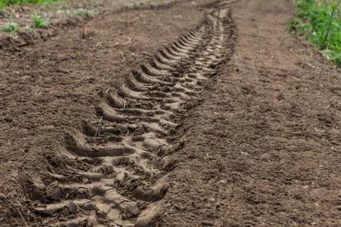 Tractor tracks in the field Foto stock