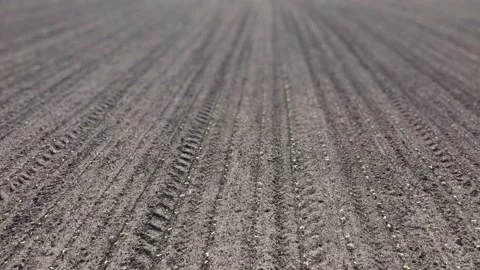 Tractor Tracks In Field, Tilt Shift Lens Stock Footage 235716216