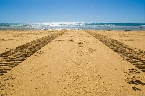 Tractor tracks Фото