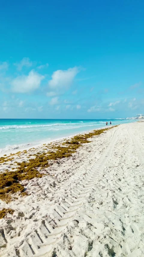 Tractor tracks on white sand beside the turquoise Caribbean sea Stock Footage 342090288