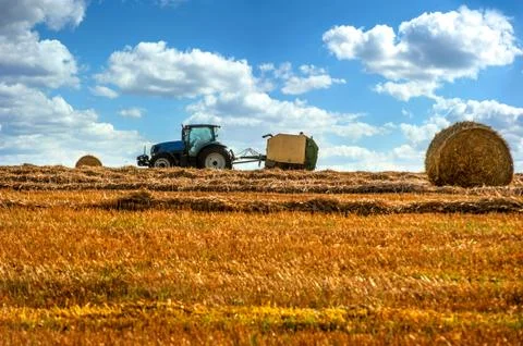 A tractor with trailed bale machine collect straw in the field and make round Stock Photos