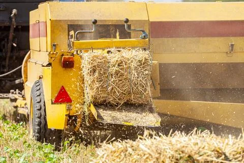 A tractor with a trailed bale making machine collects straw rolls in the field Stock Photos