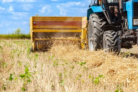A tractor with a trailed bale making machine collects straw rolls in the field Stock Photos