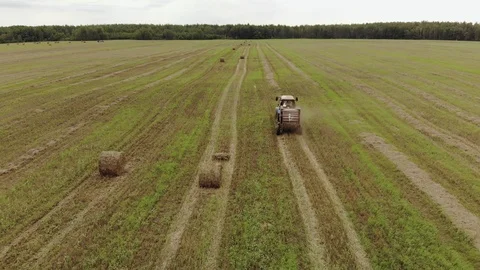 A tractor with a trailed baler, producing baling of straw on a harvested Stock Footage 119491617