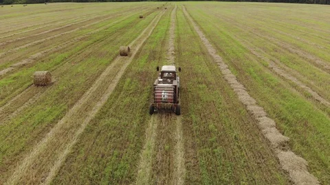 A tractor with a trailed baler, producing baling of straw on a harvested Stock Footage 119491869
