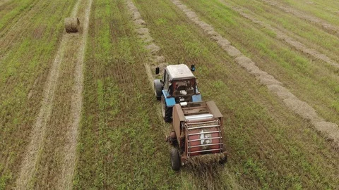 A tractor with a trailed baler, producing baling of straw on a harvested Vidéo 119631872