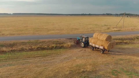 Tractor with a trailer of bales of straw or hay vysial from the field on the Stock Footage 143818544