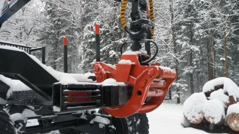 Tractor trailer crane for logs moves in winter forest Stock Footage 169548699