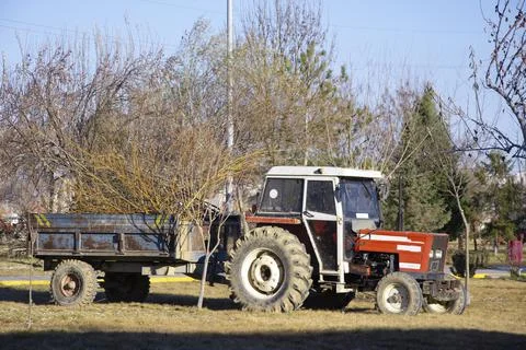 Tractor with trailer filled with old branches parked in the park Stock Photos