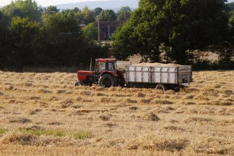 Tractor with a trailer full of grain Stock Photos