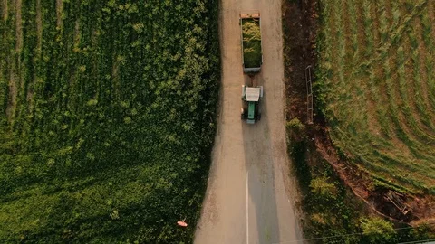Tractor with trailer going to the main road on sunset Stock Footage 130028071