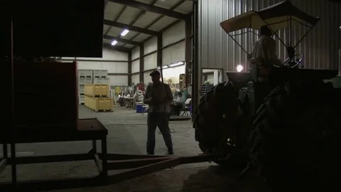 Tractor with trailer of grapes stops in front of warehouse, 4K. Stock Footage 85415456