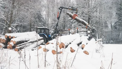 Tractor with trailer loads logs on the background of winter forest Stock Footage 169548977
