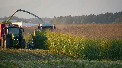 Tractor with trailer running beside self-propelled forage harvester Stock Footage 226345470