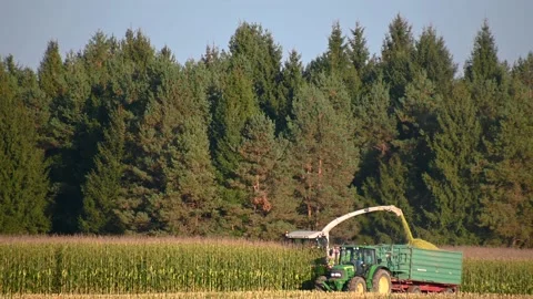 Tractor with trailer running beside self-propelled forage harvester Stock Footage 226356594