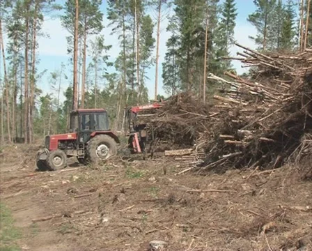 Tractor trailer tree Stock Footage 10742799