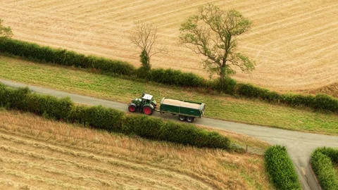 Tractor transporting harvested wheat grain along rural country road between Video stock 341333534
